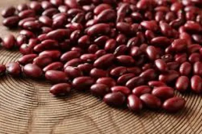 Estos son los alimentos que nunca debemos comer crudos, según los nutricionistas