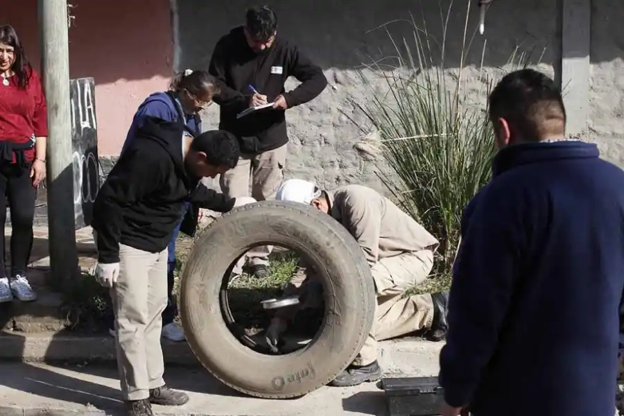 DESCACHARREO. Limpiar terrenos y elementos en desuso es clave. FOTO MINISTERIO DE SALUD DE TUCUMÁNpara evitar criaderos de mosquitos. 