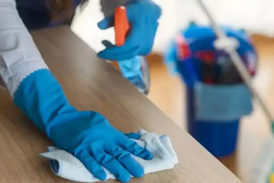 Empleadas domésticas tienen derecho a un ART y una obra social.