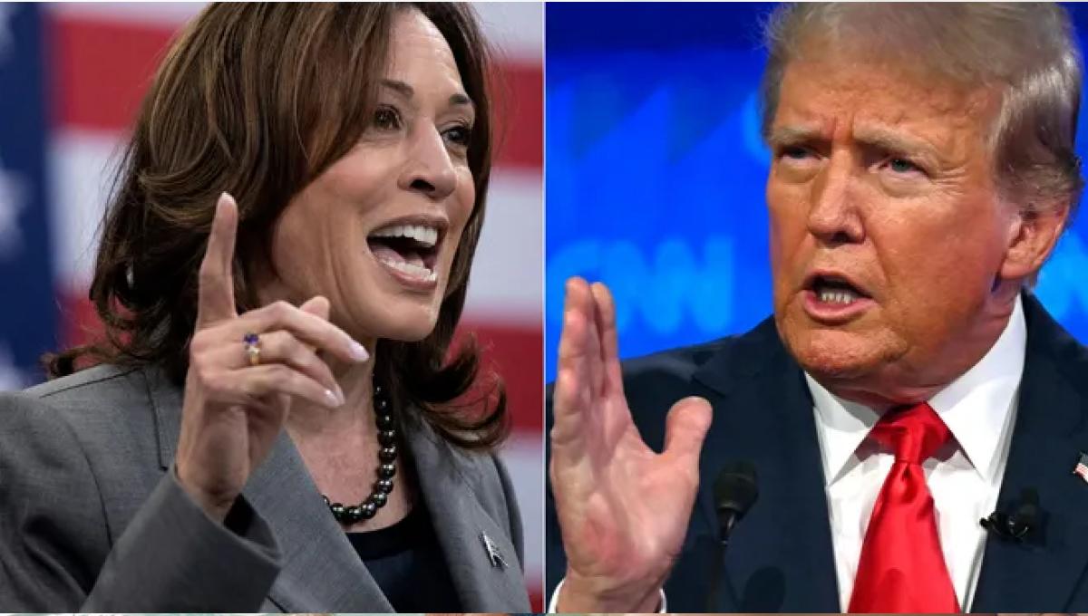 Trump or Harris, which of the two candidates is the most searched on Google