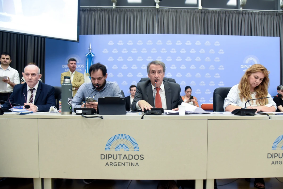 Diputados: la oposición obtuvo dictamen para limitar el poder de los DNU