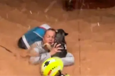 Valencia: el conmovedor rescate de una mujer y sus mascotas en medio de las inundaciones