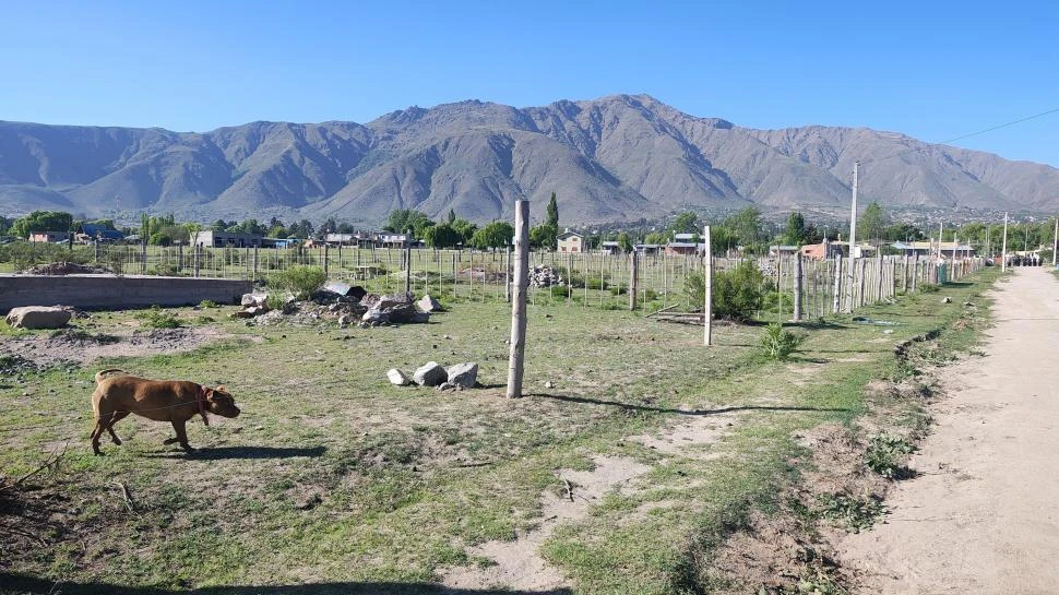 SORPRESA. Varios de los terrenos relevados tenían colocados postes con medidores de luz, cuando no deberían haberlos tenido por falta de papeles.