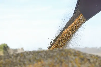 El Gobierno nacional simplifica el RUCA: los principales cambios para la cadena agropecuaria