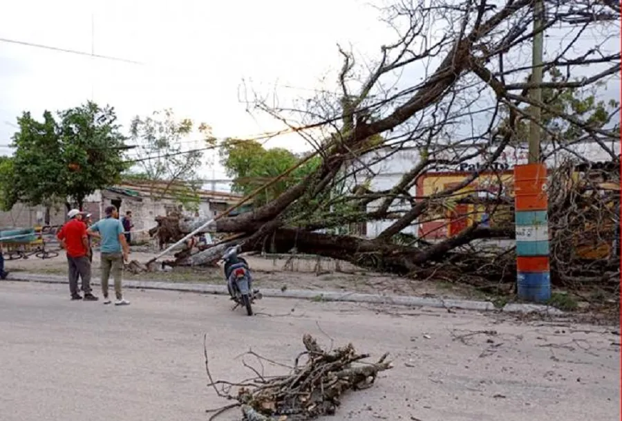 ALERTA NARANJA. Ocurrió ayer a la tarde-noche y afectó a distintos ciudades sin consecuencias mayores. En Santa Ana hubo caída de árboles por los fuertes vientos (Imagen de Defensa Civil)