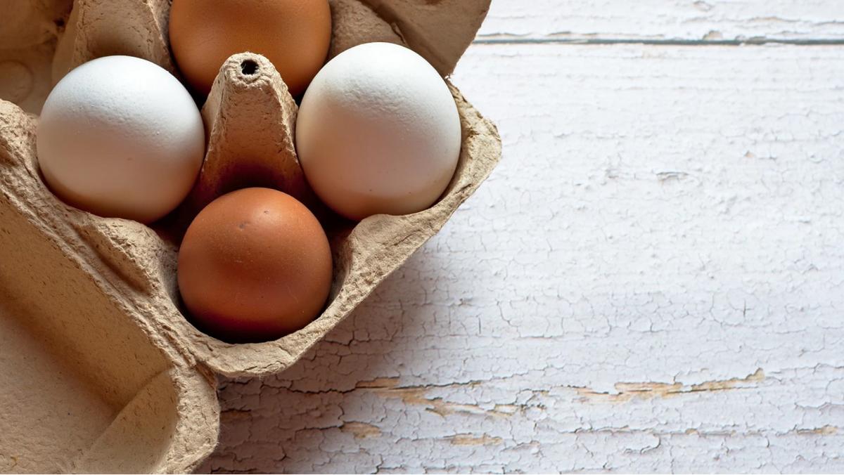 ¿Por qué los huevos marrones son más caros que los blancos?