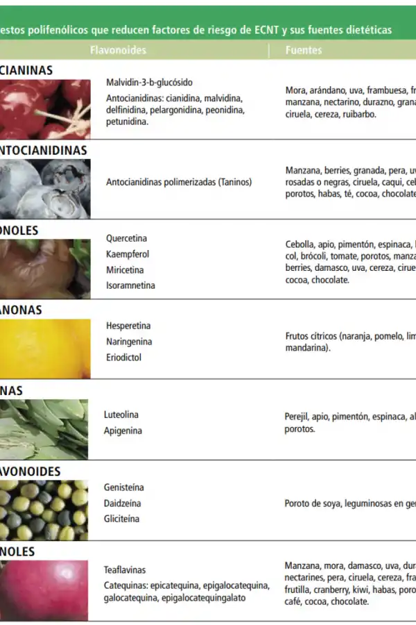 Gráfico de la Pontificia Universidad Católica de Chile.
