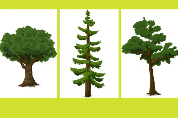 Test de personalidad: elegí un árbol de la imagen y descubrí algo único sobre tu personalidad