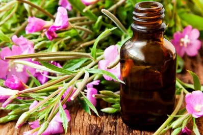 Flores de Bach: en qué consiste la terapia que promete mejorar el estado de ánimo