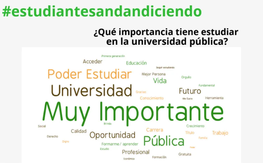 MÁS QUE EDUCACIÓN. Los estudiantes dijeron qué es la universidad pública para ellos. / CAPTURA DE PANTALLA.