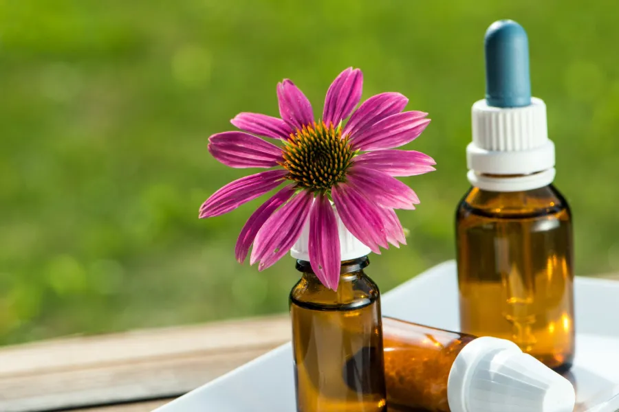 Flores de Bach: en qué consiste la terapia que promete mejorar el estado de ánimo