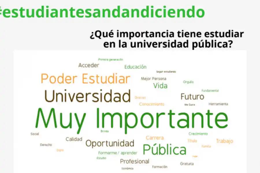 MÁS QUE EDUCACIÓN. Los estudiantes dijeron qué es la universidad pública para ellos. / CAPTURA DE PANTALLA.
