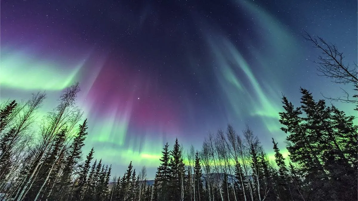 Las auroras boreales se volverán más frecuentes a causa de las tormentas solares. 