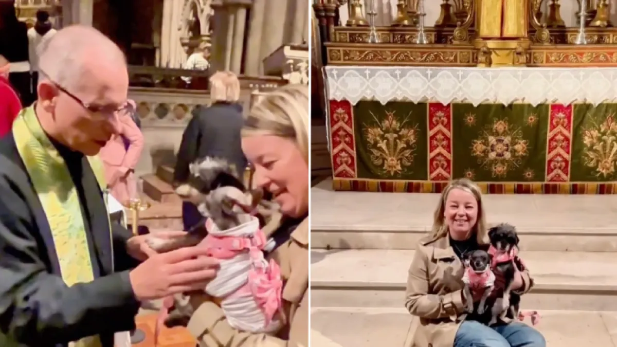 Las mascotas de Londres recibieron la bendición anual.