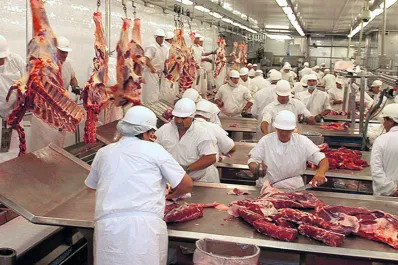 La Nación derogó una veintena de medidas relacionadas con diversas actividades productivas