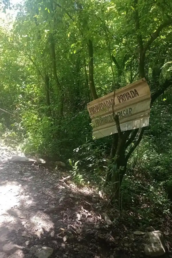 Una usurpación pone en riesgo la Yunga de Tafí Viejo