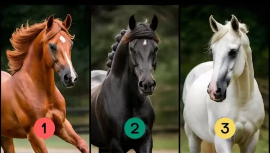 Test de personalidad: el caballo que elijas te revelará tus fortalezas