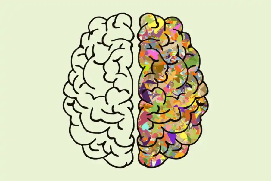 Las razones por las cuales olvidamos y por qué esto es positivo. 