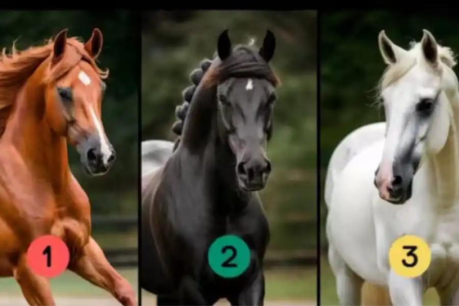 Test de personalidad: el caballo que elijas te revelará tus fortalezas