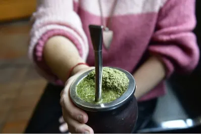 Protesta de productores: ¿podría faltar yerba mate en el país en los próximos meses?