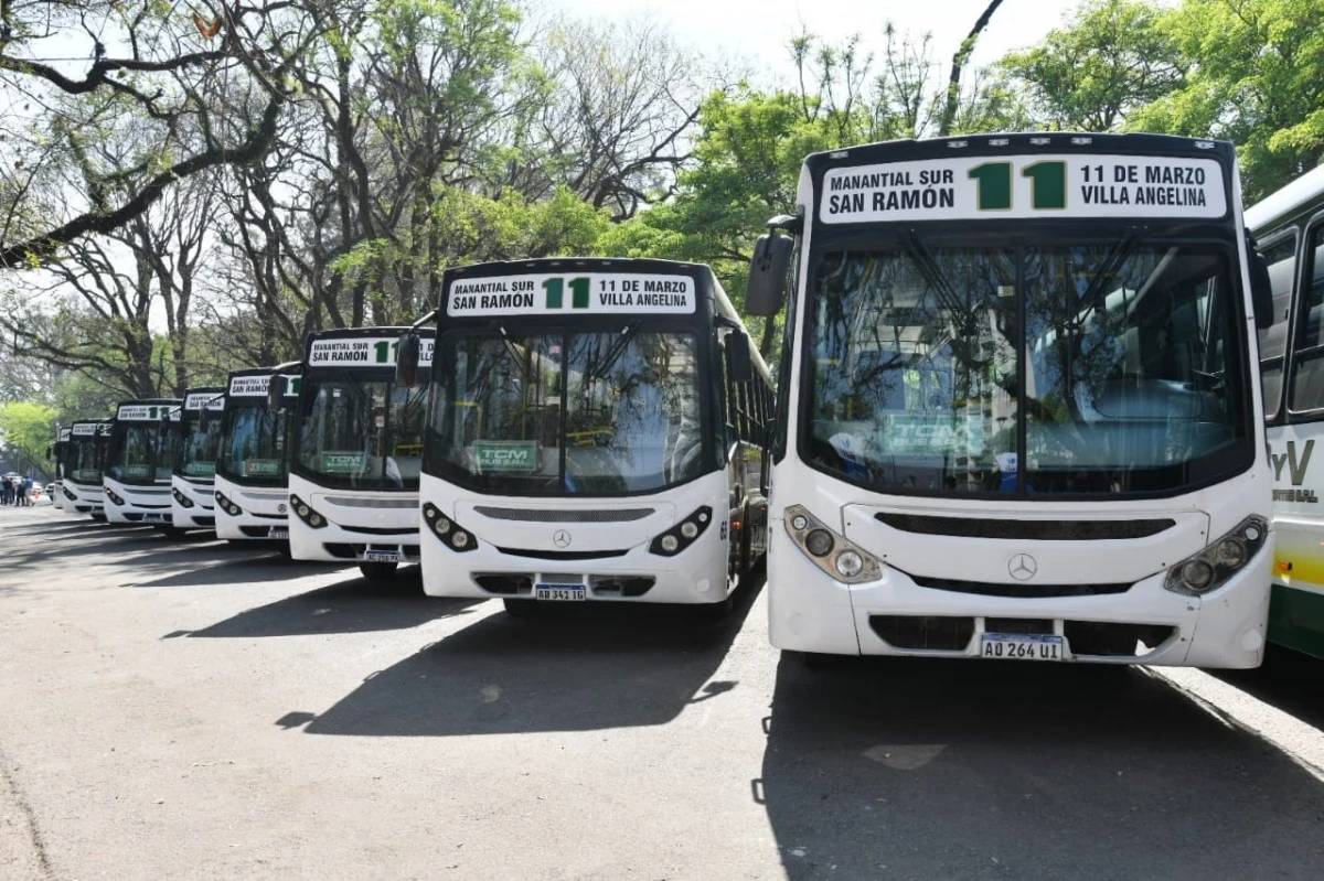 La Línea 11 anunció importantes cambios en sus recorridos