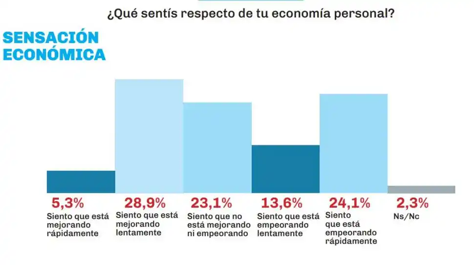 Sondeo privado: Milei repunta en imagen, pero le piden que siga combatiendo a la casta