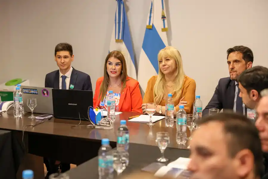 En la Capital, el 41% de los gases es generado por el transporte automotor