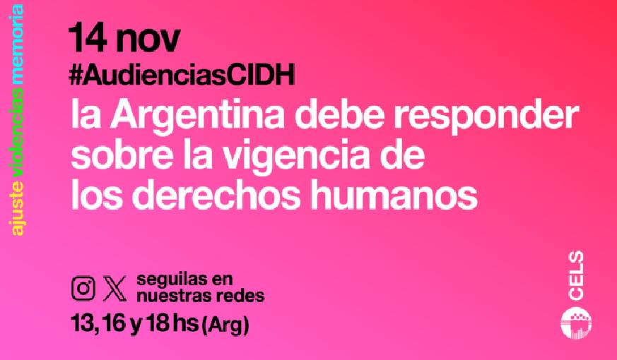 Organizaciones alertan sobre la grave situación de niñas, mujeres y diversidades en Argentina