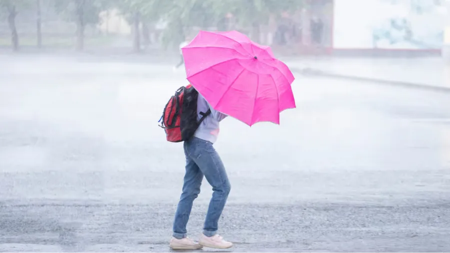 Clima en Argentina: habrá un marcado descenso de temperatura en los próximos días