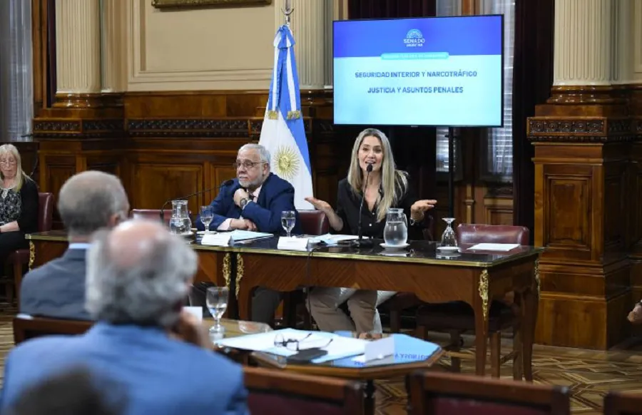 Con chicanas entre Losada y Parrilli, la ley antimafias obtuvo despacho