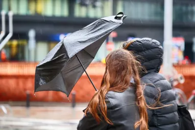 Alerta por tormentas y vientos fuertes: ¿cómo estará el clima el fin de semana largo?