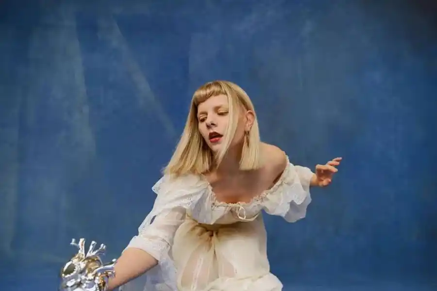 Los seguidores de la artista se organizaron para iluminar el recinto con la bandera argentina.