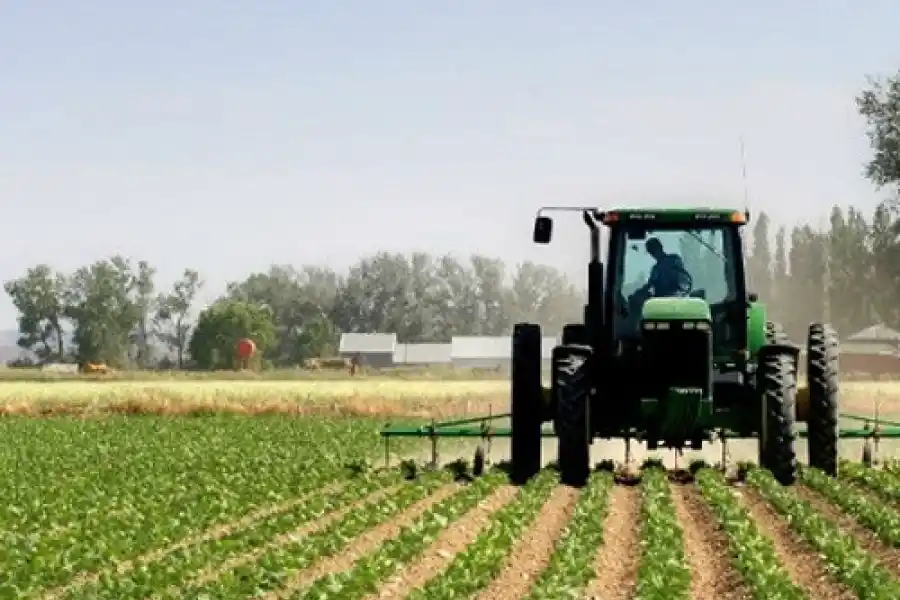 Productores explicaron cómo se comete el delito de usurpaciones en el NOA