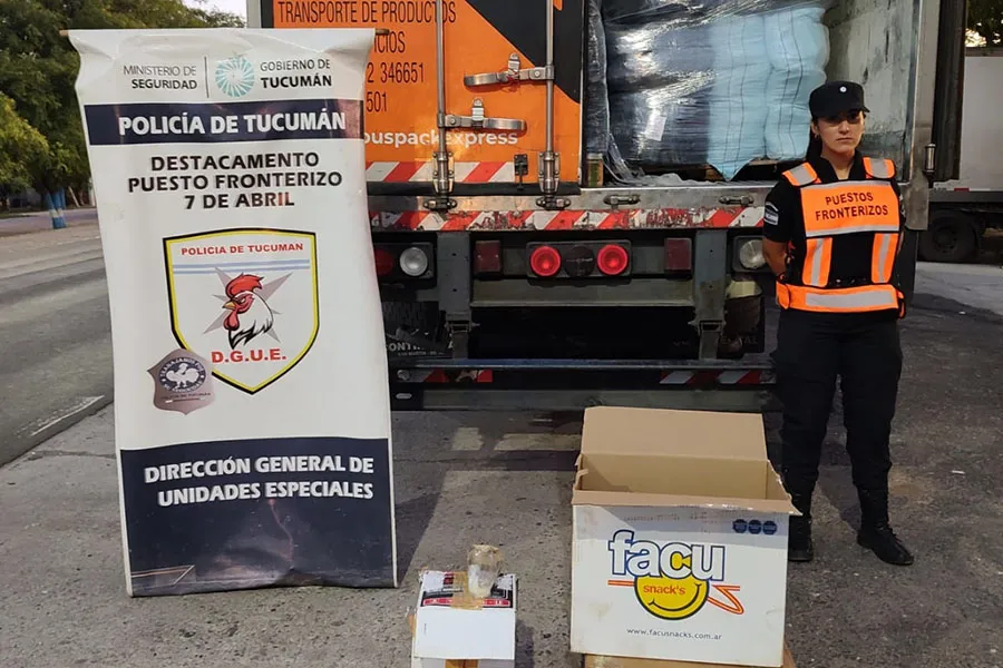 ESCONDITE. Los animales fueron detectados con un scanner.