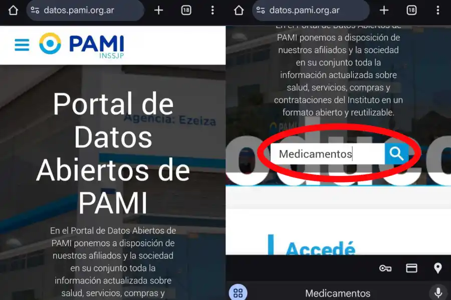 PAMI: cómo saber el precio de los medicamentos desde tu celular