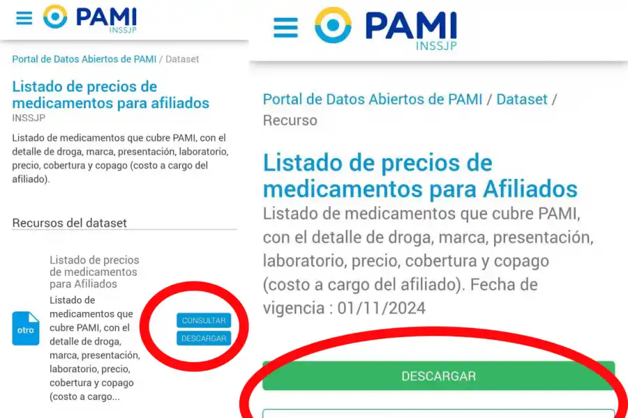 PAMI: cómo saber el precio de los medicamentos desde tu celular