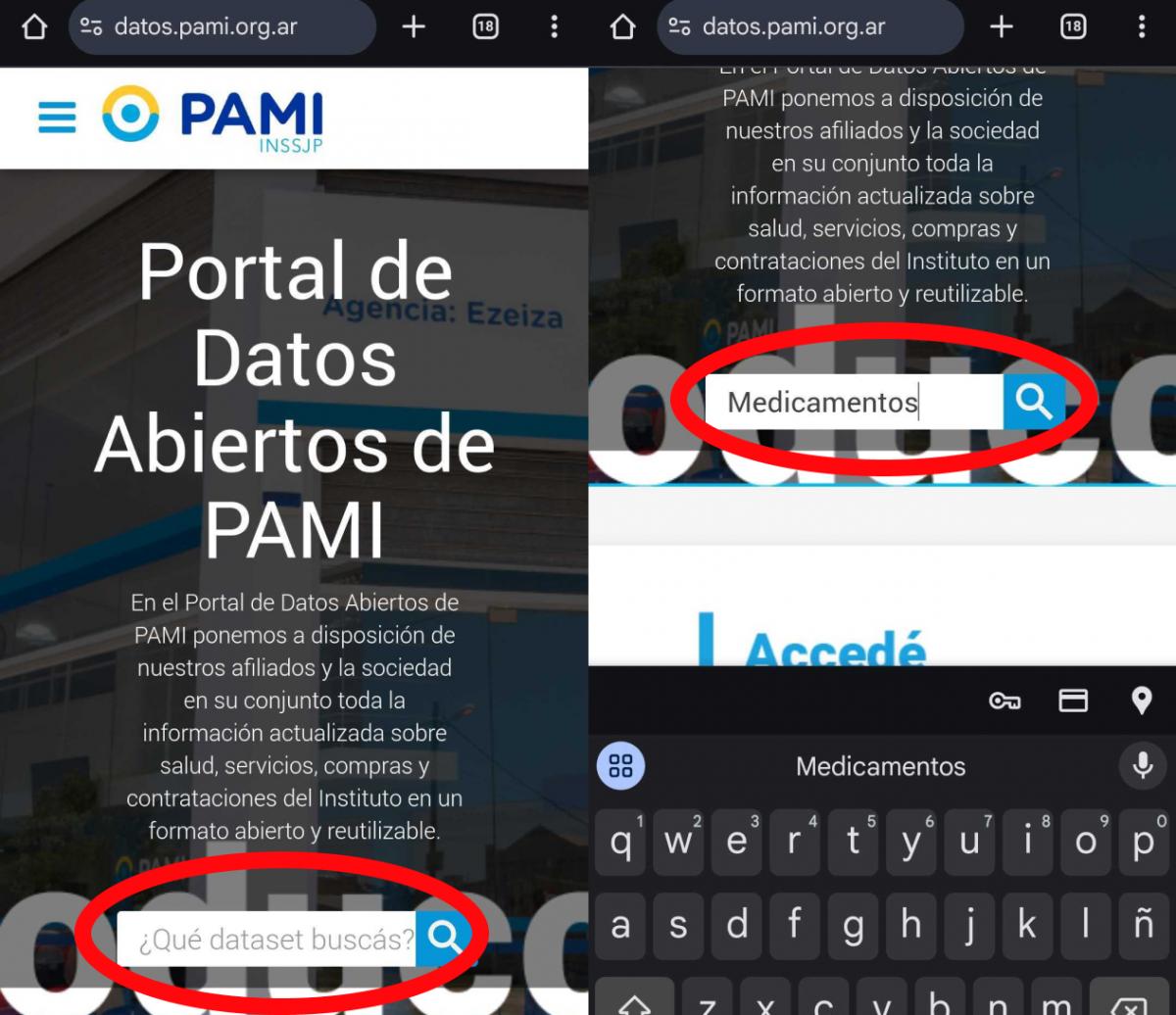 PAMI: cómo saber el precio de los medicamentos desde tu celular