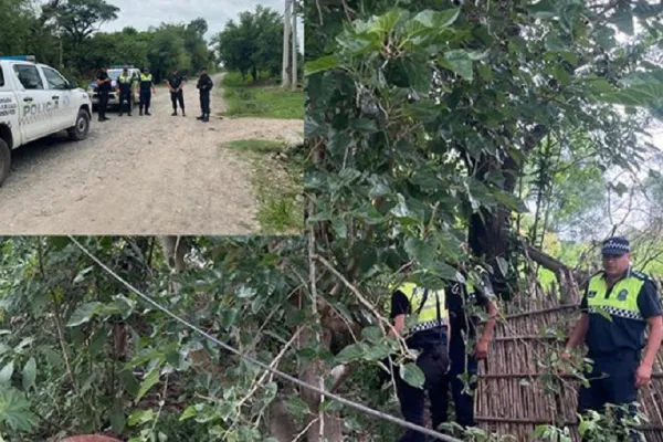 Bella Vista: por venganza, robó una yegua de sus vecinos, la mutiló y publicó las fotos en sus redes sociales
