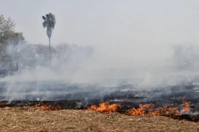 Nuevo estudio de la UNT: el aire en Tucumán está contaminado seis veces más de lo recomendado
