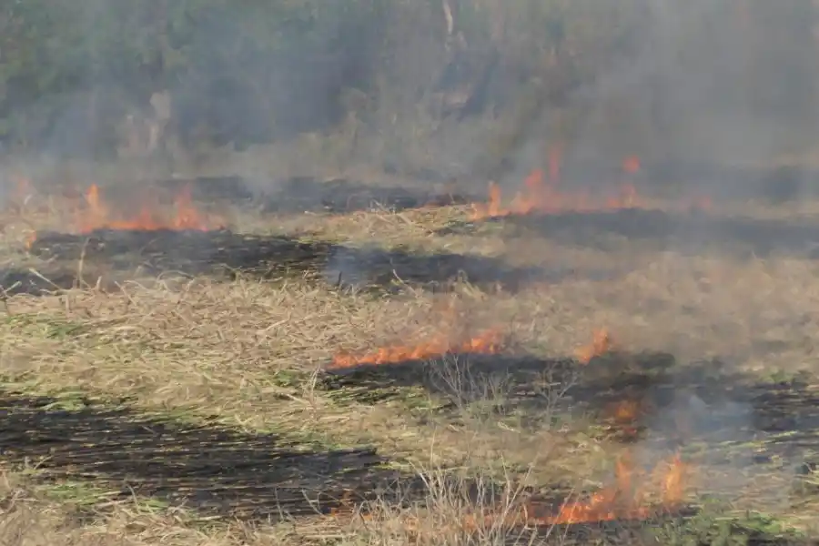 ILEGAL. La quema de pastizales puede ser denunciada llamando al 103.