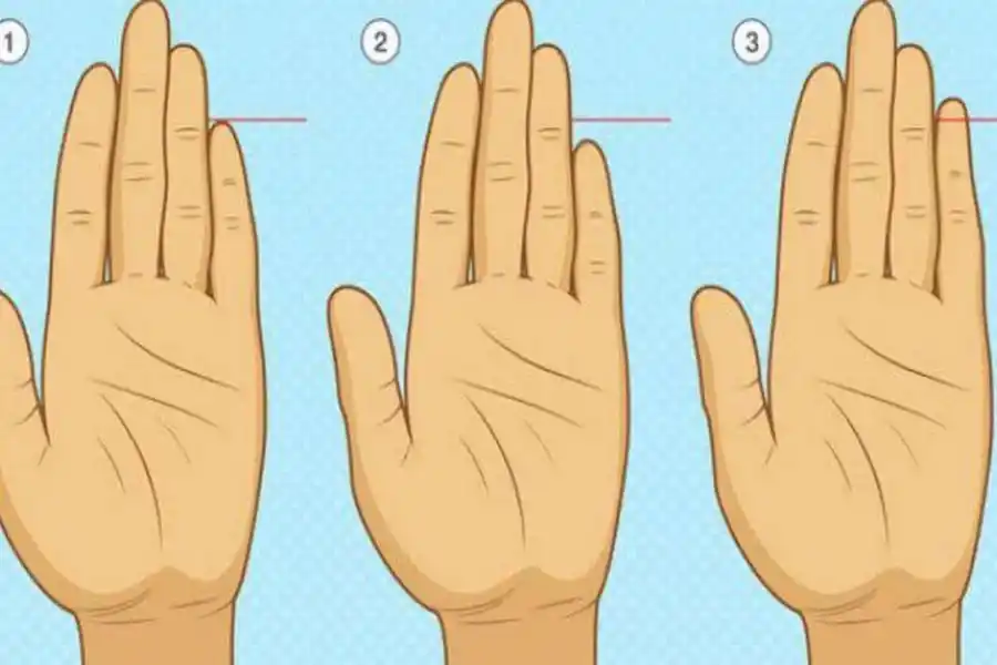 Un test de personalidad que es furor en las redes sociales.