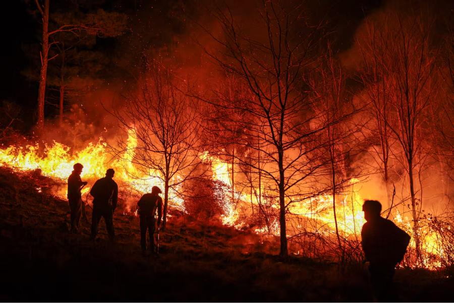 Los incendios podrían repetirse a mayor intensidad de La Niña.