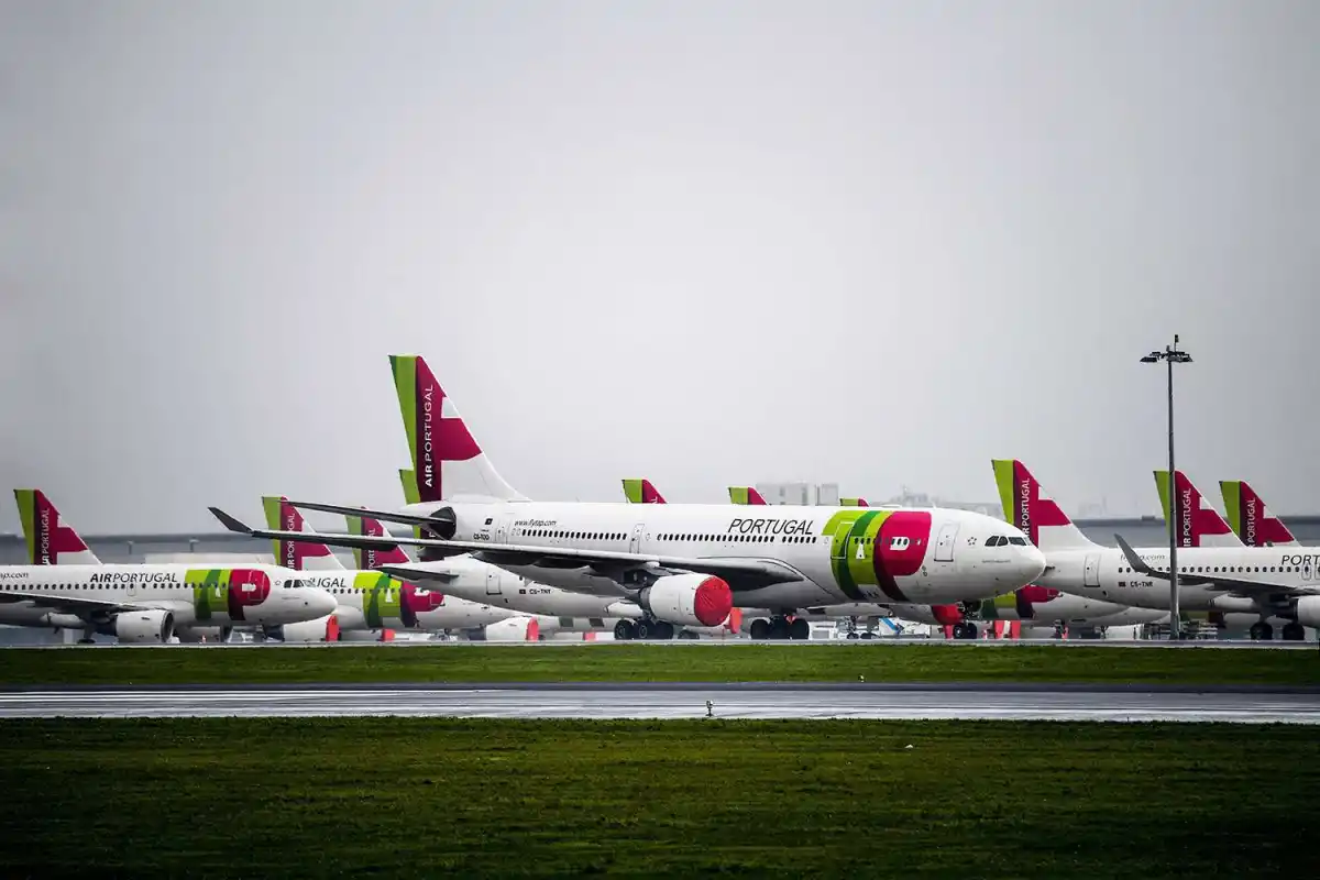 Una de las unidades de TAP Air quedó inhabilitada por cuatro días por una invasión de hámsters.