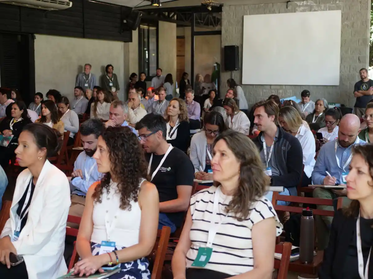 Jornada de debate. PROYUNGAS 