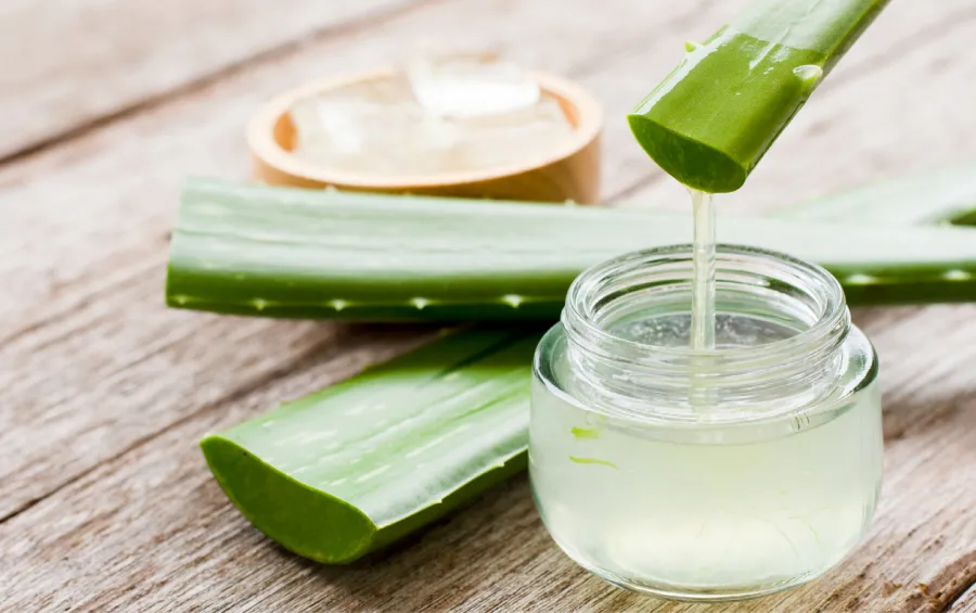 El aloe de vera tiene múltiples beneficios para la piel