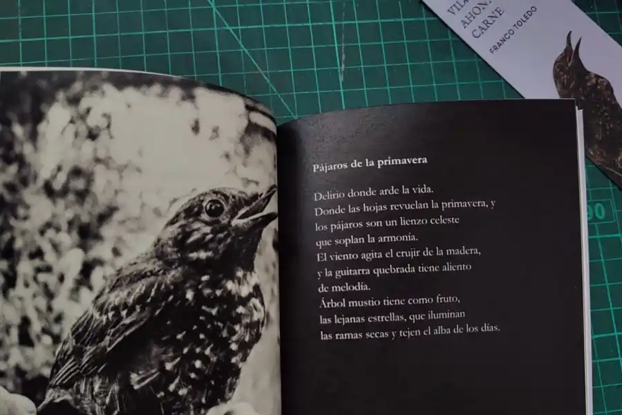 Franco Toledo: “No todo lo que se escribe es poesía”