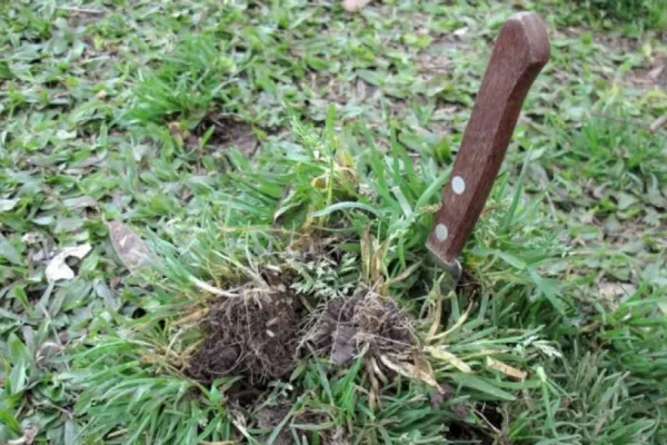 Creencia popular: los rituales más usados para hacer que deje de llover