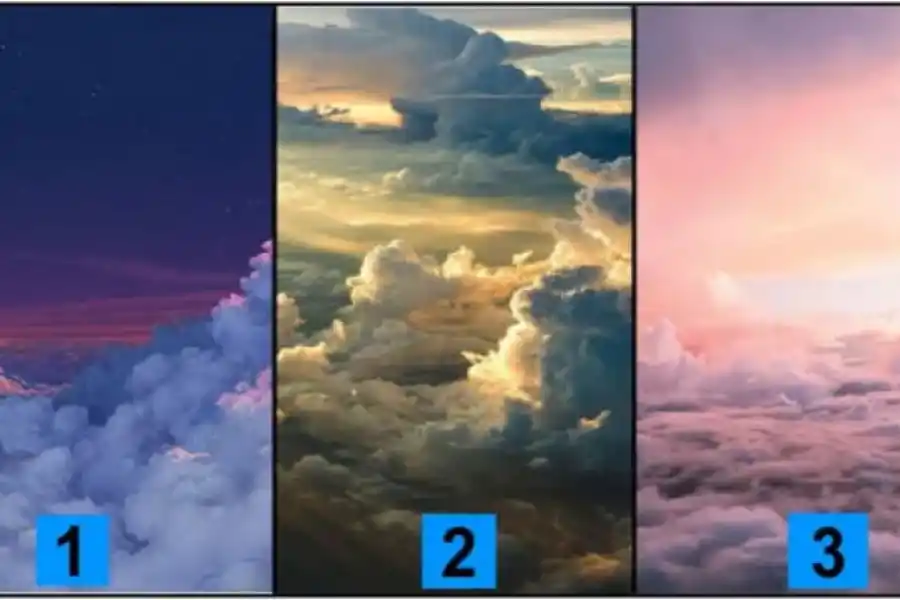 Un test de personalidad que es furor en las redes sociales.