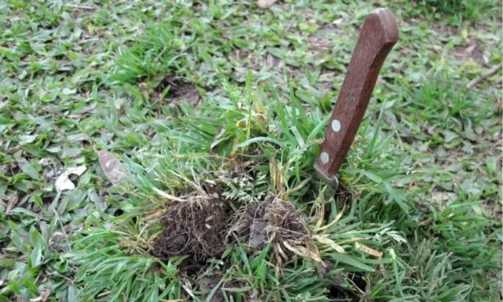 El clásico ritual de clavar un cuchillo en la tierra es tal vez el más conocido.