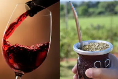 Dos clásicos: los argentinos están comprando menos yerba y menos vino